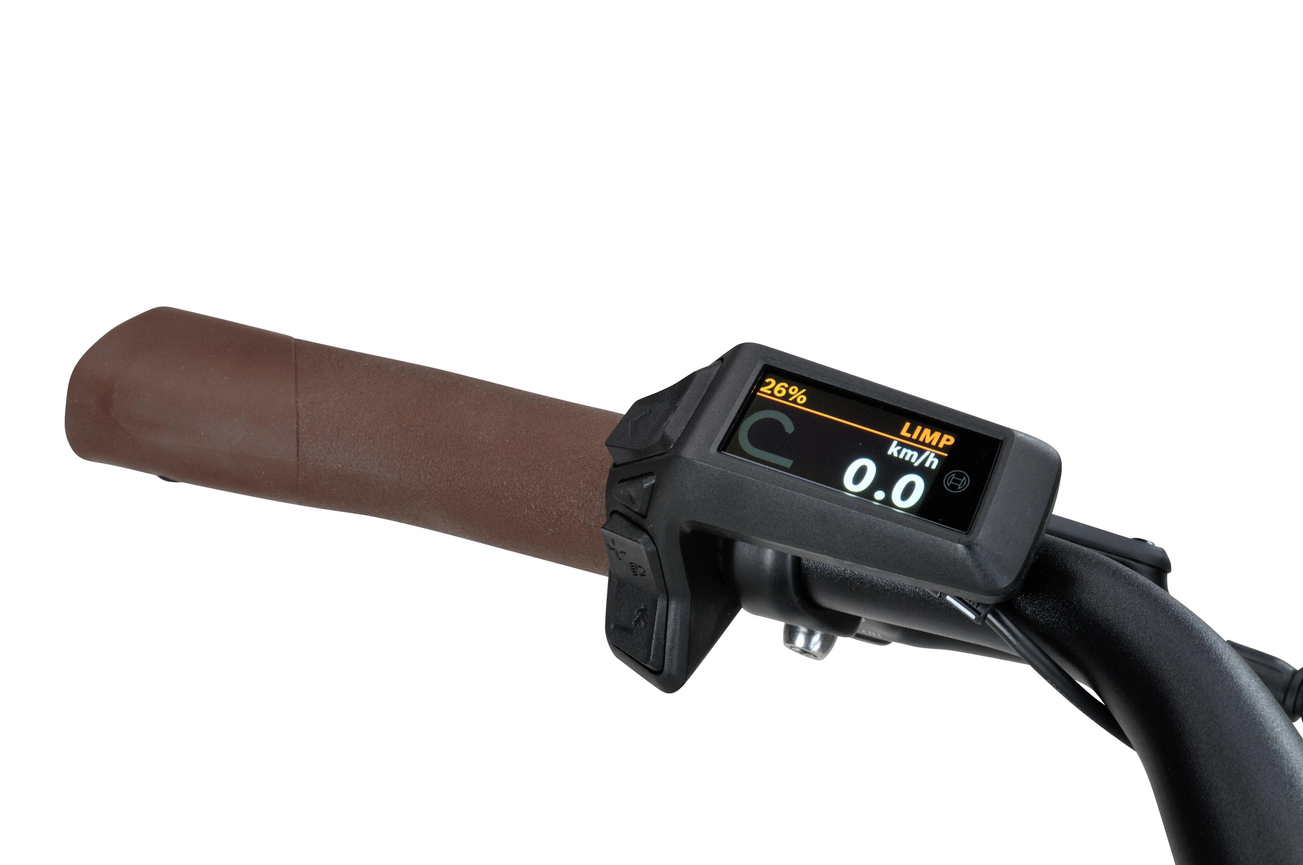 Batavus Altura E-Go Plus BES3
